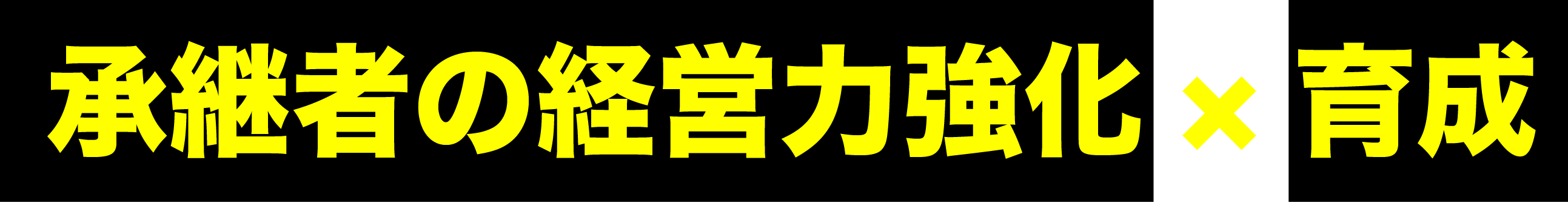 承継者の経営力強化×育成